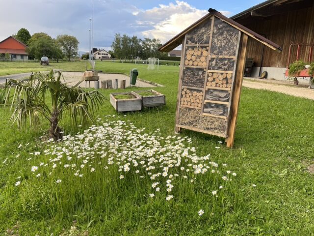 0589DFB3-800B-4C5F-BB44-00E473AFD31D_1_105_c